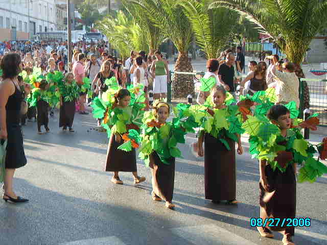 Disfresses i carrosses